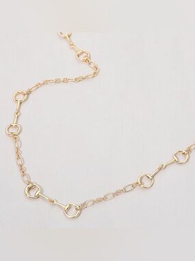 Gold Metal Horsebit Link Long Necklace